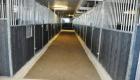 skramsta2 5 gall st